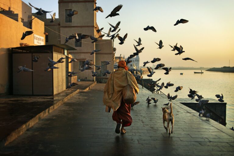 Dwarka Gujarat